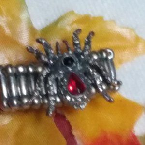 Spider Expandable Ring